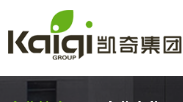 凯奇集团有限公司
